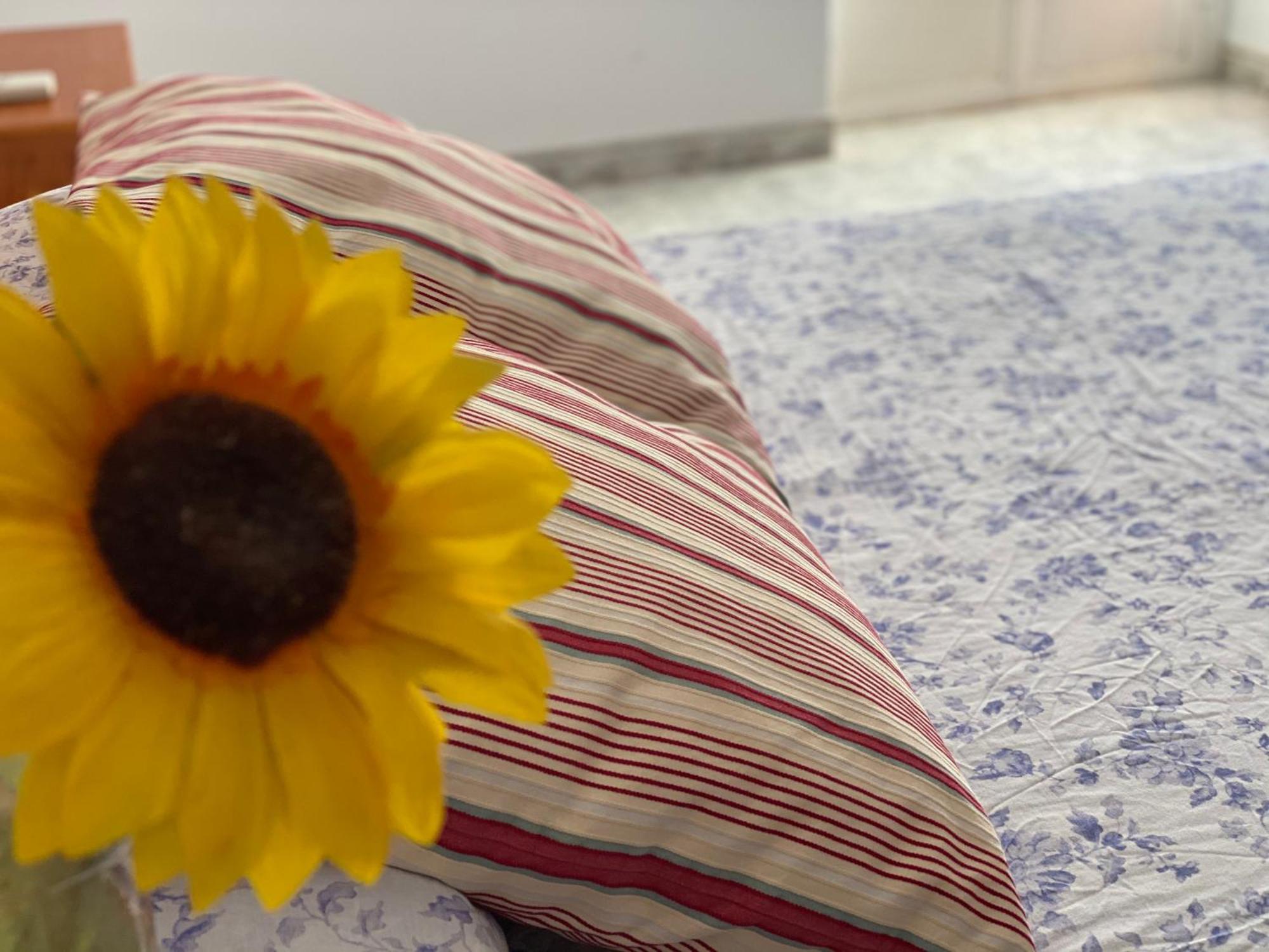 Casa Rural Valle Secreto Torremocha Zewnętrze zdjęcie