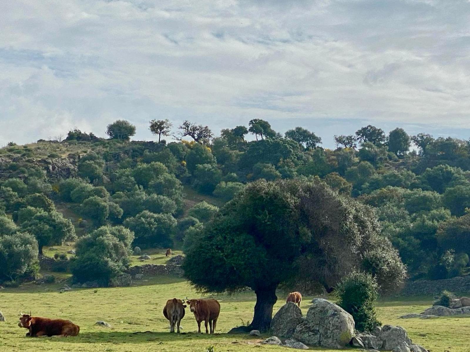Casa Rural Valle Secreto Torremocha Zewnętrze zdjęcie