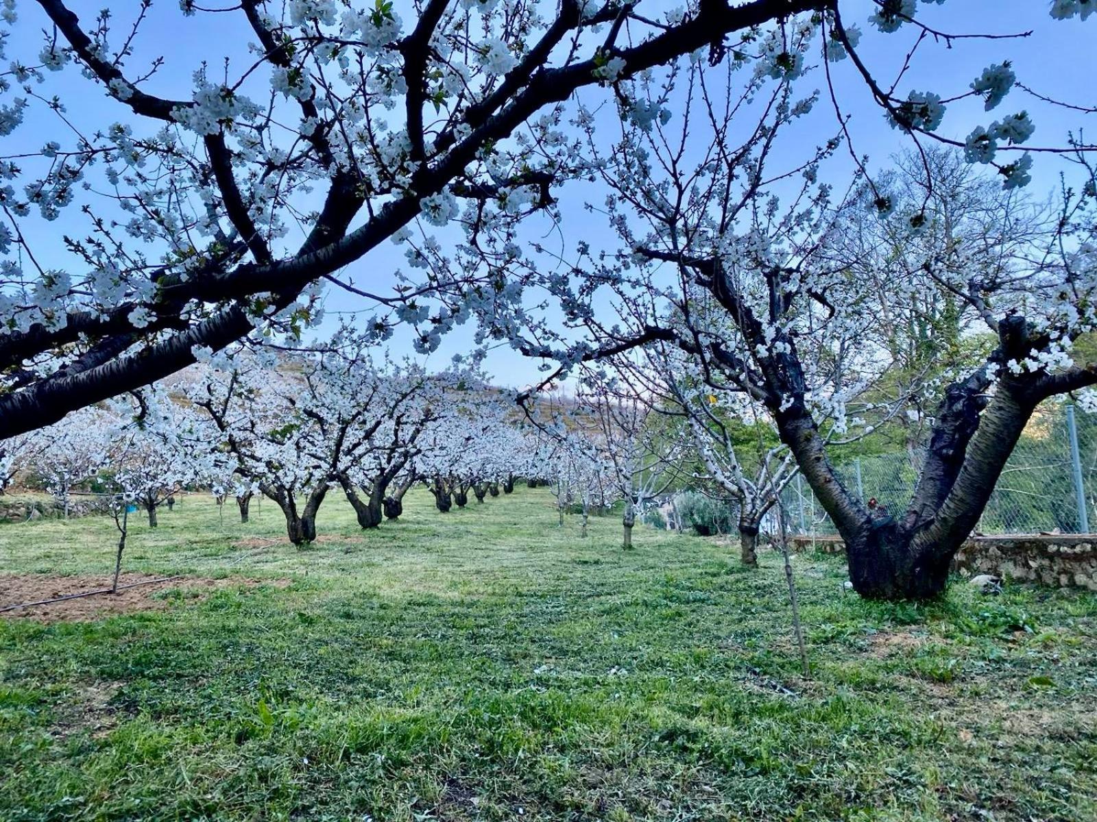 Casa Rural Valle Secreto Torremocha Zewnętrze zdjęcie